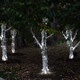 225-LED Solar-Powered Holiday String Light (1- or 2-Pack) product