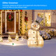 LED Holiday Snowman Decoration product