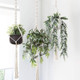 Macramé Boho Handmade Cotton Rope Wall Plant Hanger (3-Pack) product