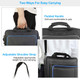 Travel Carry Case for PlayStation 4 product