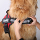 Personalized Reflective Dog Harness product