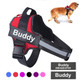 Personalized Reflective Dog Harness product