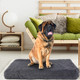 Cozy Pet Cushion product