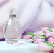 Lovely by Sarah Jessica Parker Eau De Parfum Spray (2-Pack) product