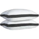 Gusseted Pillows (Set of 2) product