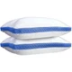 Gusseted Pillows (Set of 2) product