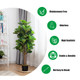 4-Foot Artificial Fiddle-Leaf Fig Tree product