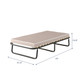 Folding 71" Memory Foam Sleeper Bed product