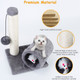 PetLuv™ Kitten Scratching Play Post product