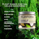 Plantoria™ Coconut Oil with Vitamin E Moisturizer Jar, 100% Organic product