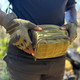 Tactical Military Fingerless Airsoft Gloves product