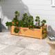 Wooden Planter Box product