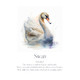 Monthly Birds Wall Art Prints product