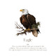 Monthly Birds Wall Art Prints product