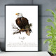 Monthly Birds Wall Art Prints product