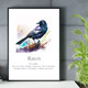 Monthly Birds Wall Art Prints product