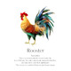 Monthly Birds Wall Art Prints product