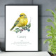 Monthly Birds Wall Art Prints product