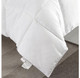 Cheer Collection Luxurious Down Alternative Colored Comforter product