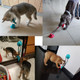 Dog Treat Tug Toy with Suction Cup product