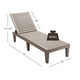 Outdoor Chaise Lounge Chair with 5-Position Adjustable Backrest (2-Pack) product
