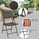 Folding Rattan Portable Dining Chairs (Set of 2) product