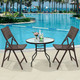 Folding Rattan Portable Dining Chairs (Set of 2) product
