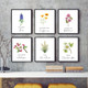 State Flower Wall Art Print product
