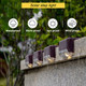 Solar LED Deck and Step Lights (8-Pack) product