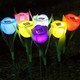 Solarek Solar Garden Flower Light Set product