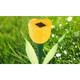 Solarek Solar Garden Flower Light Set product