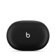 Beats Studio Buds Wireless Noise Cancelling Earphones product