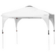 10x10-foot Adjustable Outdoor Pop Up Canopy product