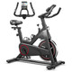 Stationary Exercise Bike with 22-Pound Flywheel product