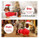 Inflatable 5-foot Christmas Dog with LED Lights product