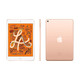 iPad Mini 5th Gen 256GB, WiFi + Cellular Bundle product