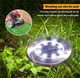 Waterproof Solar Powered LED Garden Lights (8-Pack) product