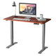 48-Inch Electric Height-Adjustable Standing Desk with Control product