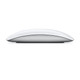 Apple Magic Mouse - Multi-Touch Surface product