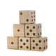  6 Giant Wooden Lawn Dice with Carrying Case product