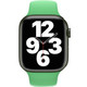 Apple Watch Band - Sport Band (41mm)  product