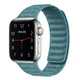 Magnetic Loop Band for Apple Watch (Series 1-9) product