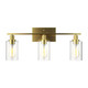 3 or 4-Light Modern Bathroom Wall Sconce with Clear Glass Shade product