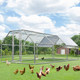 Large Walk-in Chicken Coop with Roof Cover product