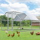 Large Walk-in Chicken Coop with Roof Cover product