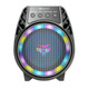Bluetooth TWS Party Speaker with LED Lights product