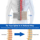 Decompression Back Belt product