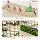 Raised Garden Bed with Trellis product