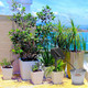 iMounTEK® Solar Powered Water Pump Drip Irrigation Kit product