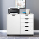 White Rolling 5-Drawer Cabinet product